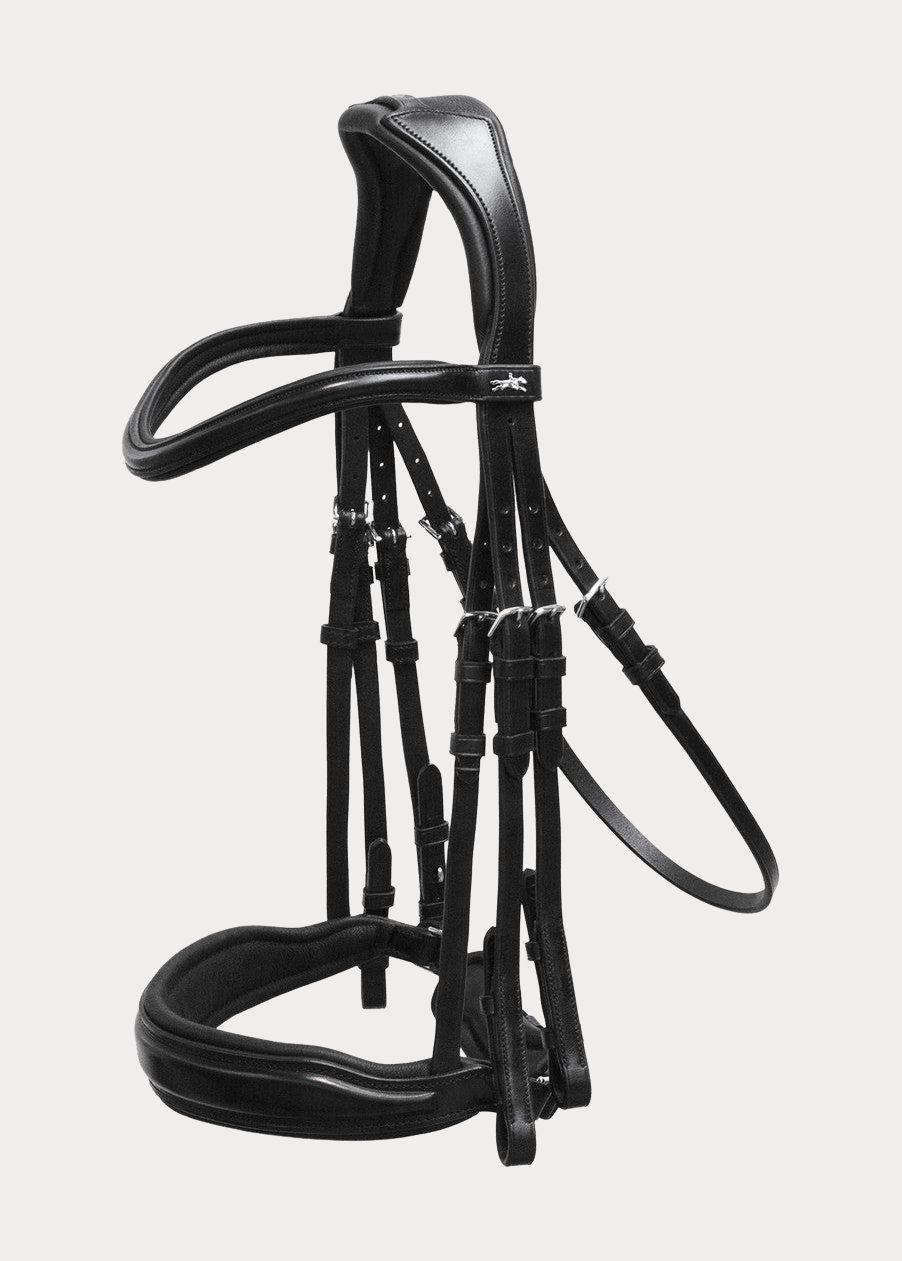 Anatomic double bridle