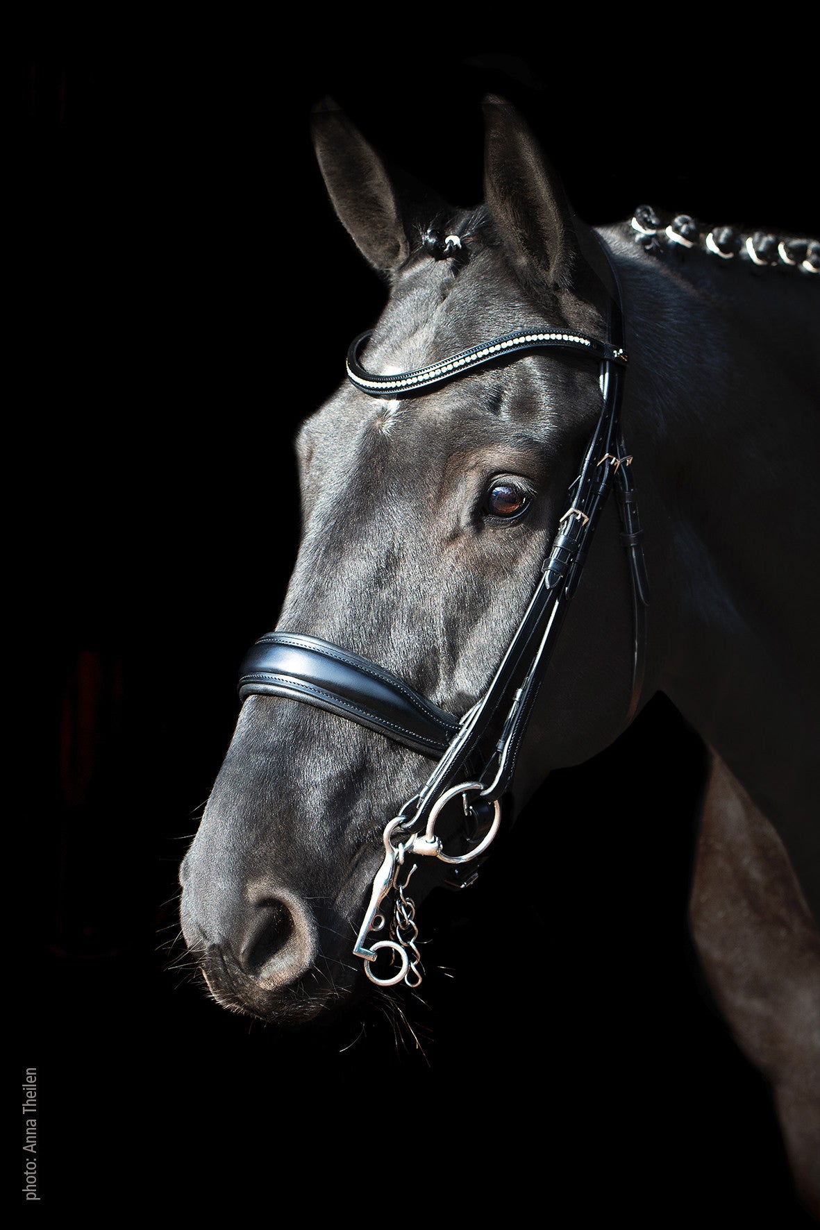 SCHOCKEMÖHLE SPORTS ANATOMIC DOUBLE BRIDLE - MILAN