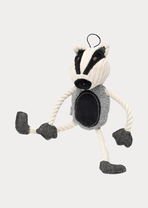 dog toy
