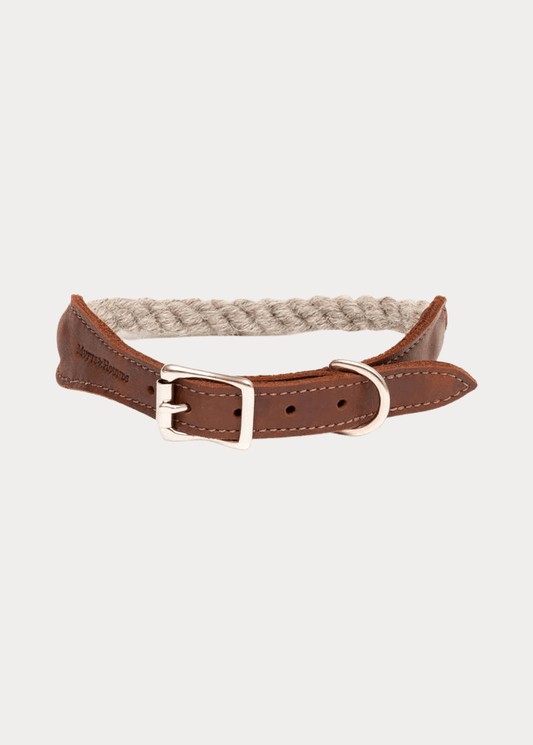 dog collar