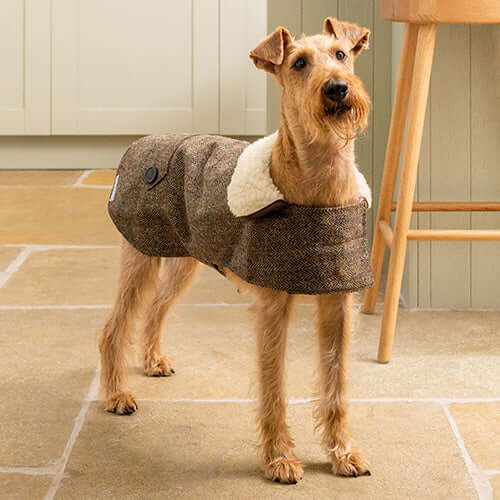 MUTTS & HOUNDS - HERITAGE TWEED DOG COAT