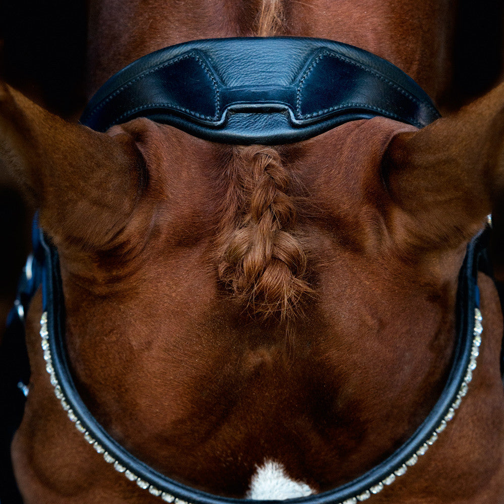 SCHOCKEMÖHLE SPORTS ANATOMIC BRIDLE - MALIBU