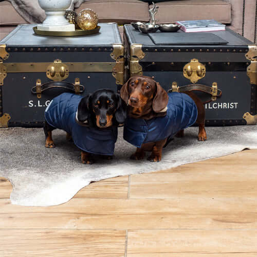 MUTTS & HOUNDS - NAVY QUILTED DOG COAT