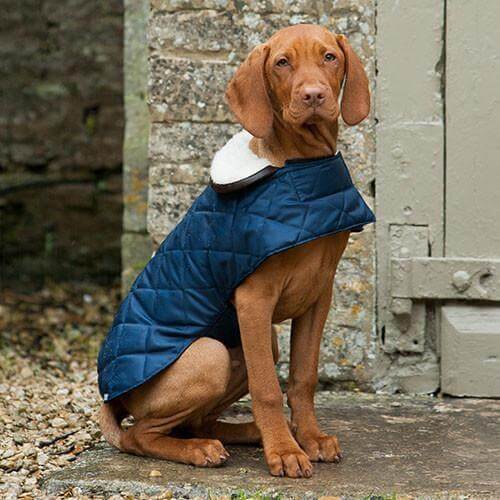 MUTTS & HOUNDS - NAVY QUILTED DOG COAT