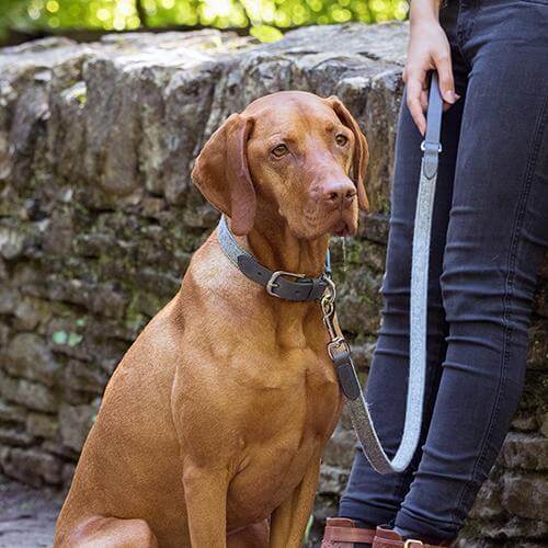 MUTTS & HOUNDS - STONEHAM TWEED & LEATHER DOG COLLAR