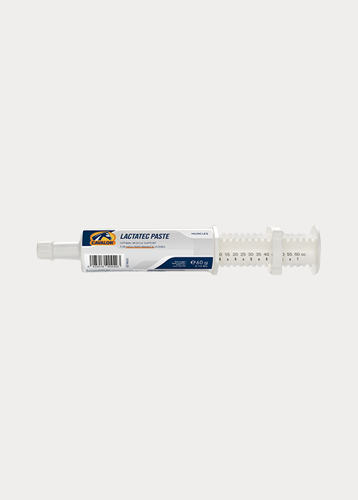 lactatec paste
