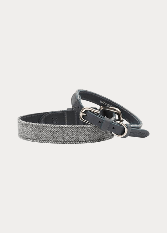 dog collar